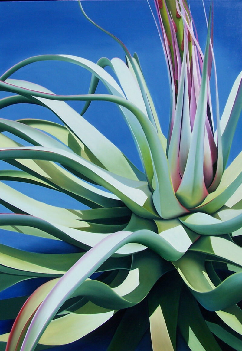 Boyce Thompson's Legacy - Agave 40x28