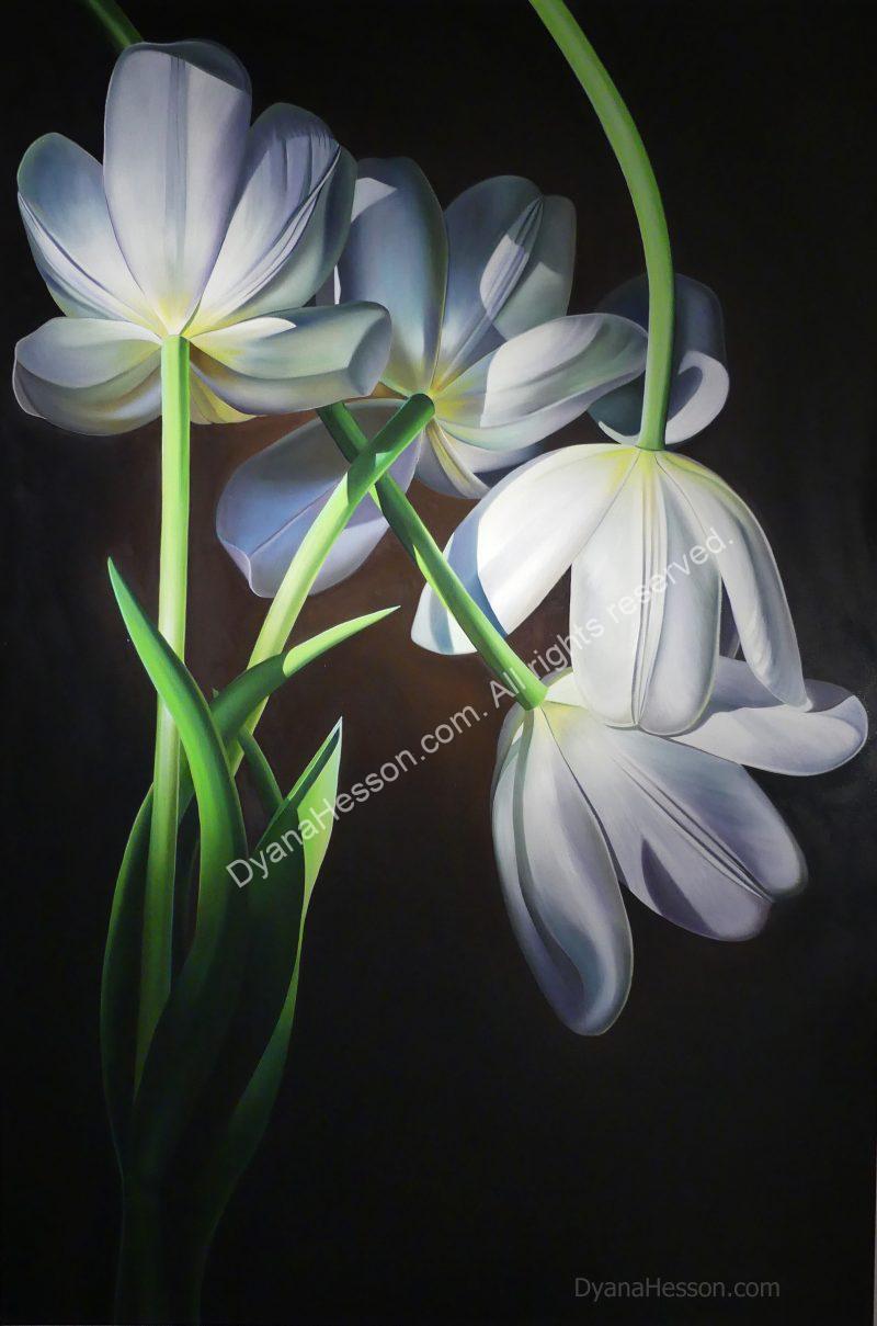 Love Came Down - White Tulips SOLD