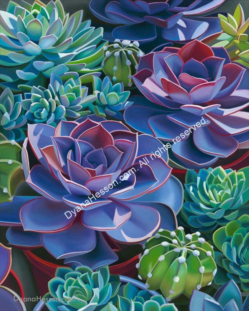 Affinity - Succulents in Pots 48x38