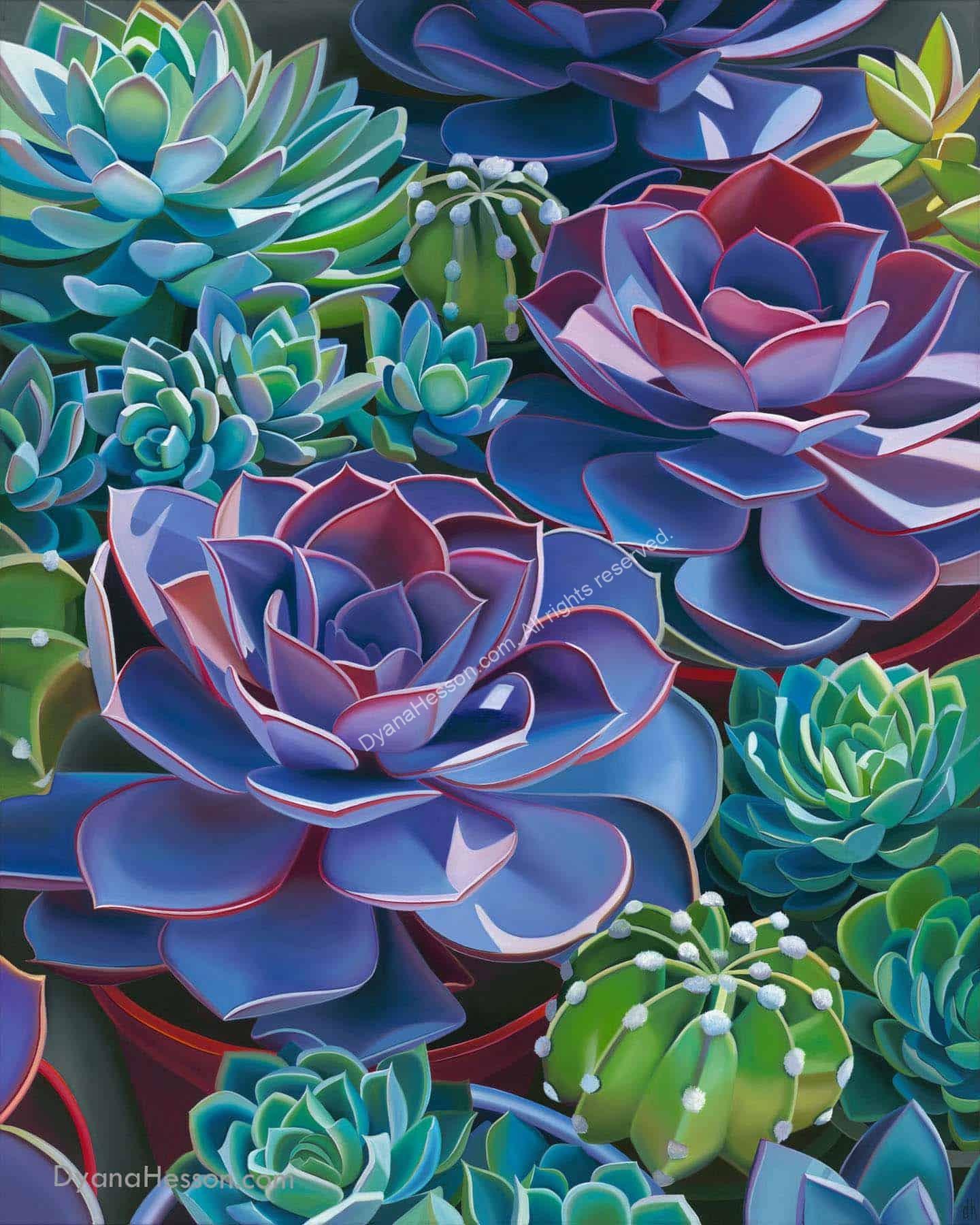 Affinity Succulents In Pots 48x38 Dyana Hesson 