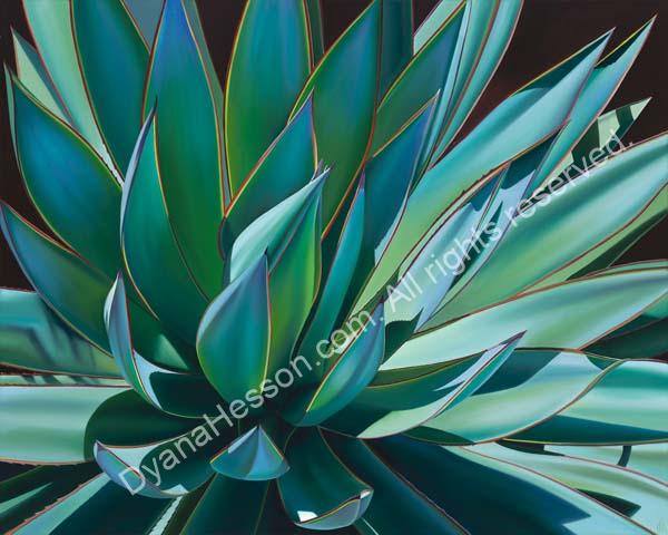 Plant In Full Sun Agave Blue Glow Dyana Hesson,Virginia Sweetspire Little Henry