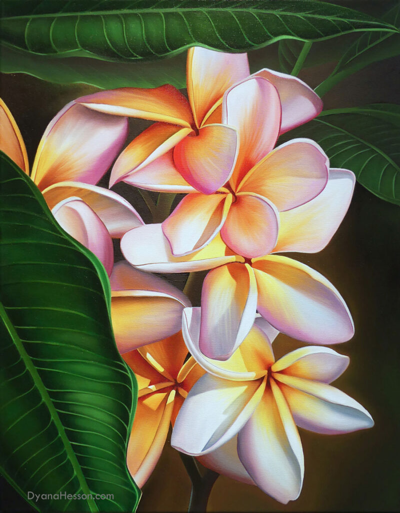 Hidden Treasure - Plumeria, Kohala Coast, Hawaii SOLD