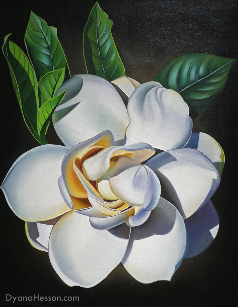 The Sweet Smell of Home - Gardenia, Kona, Hawaii SOLD