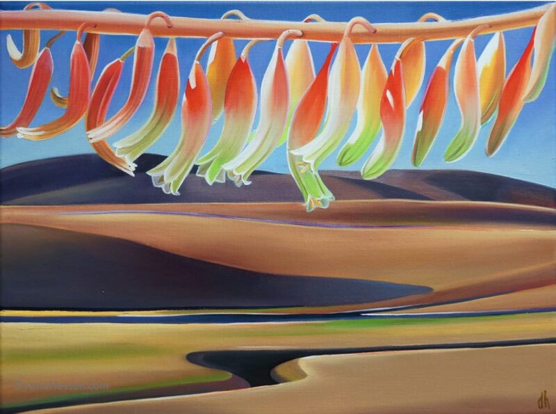 South Bound - Gasteria and Velvet Hills, CA SOLD