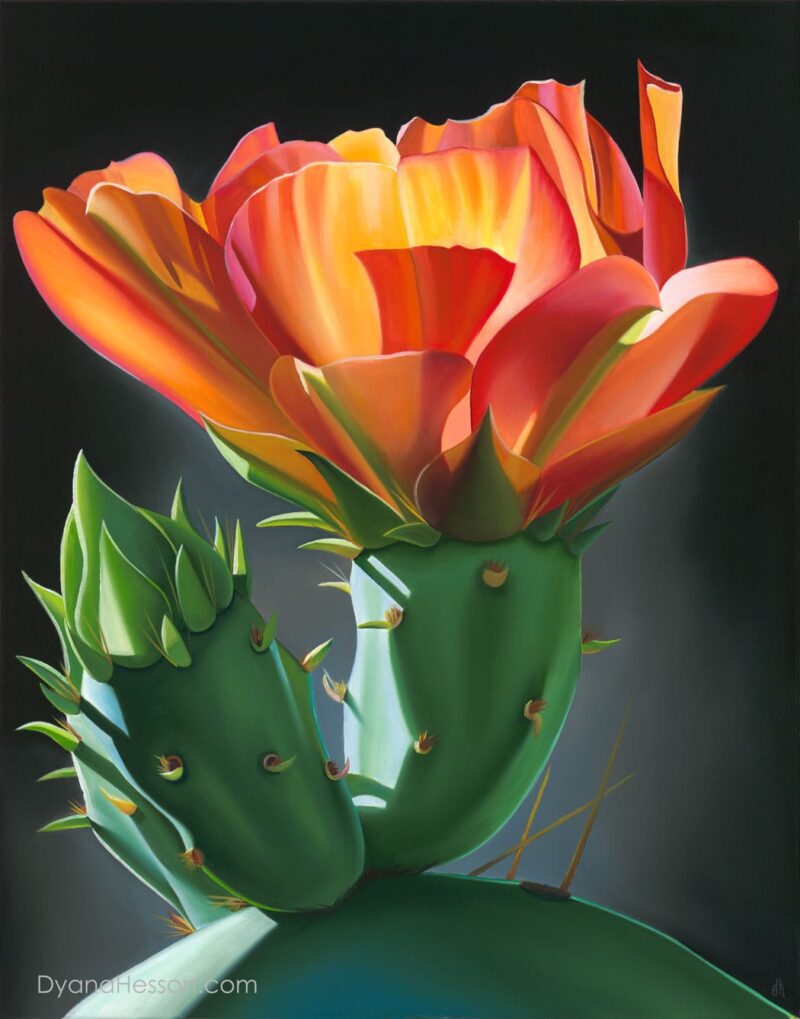 SOLD  New Beginnings - Prickly Pear Bloom and Bud