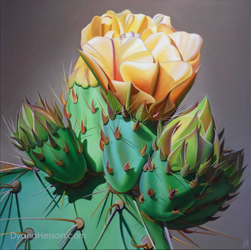 Arizona Gold - Prickly Pear Bloom and Buds, Desert Botanical Garden SOLD