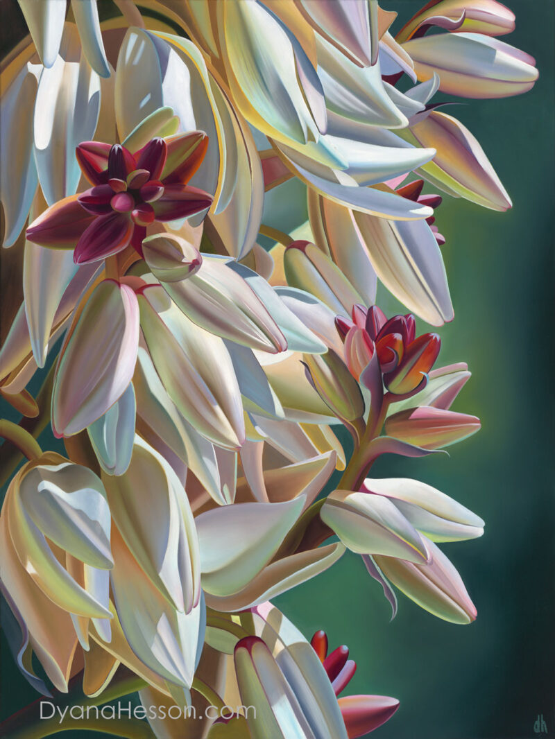 Arizona Dinner Bells - Yucca Blooms, Superior, AZ SOLD