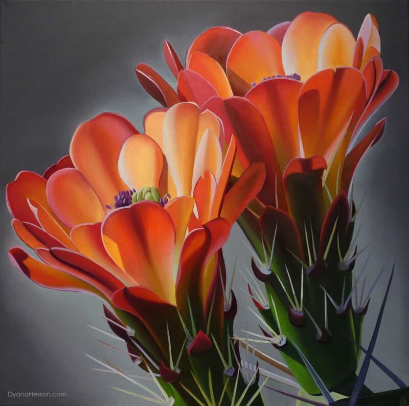 Dyana Hesson, Cheers, Claret Cup Cactus Blooms