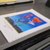 Arizona Highways Wildflower Poster 24x18 - Image 4