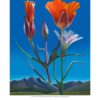 Arizona Highways Dyana Hesson Wildflower poster