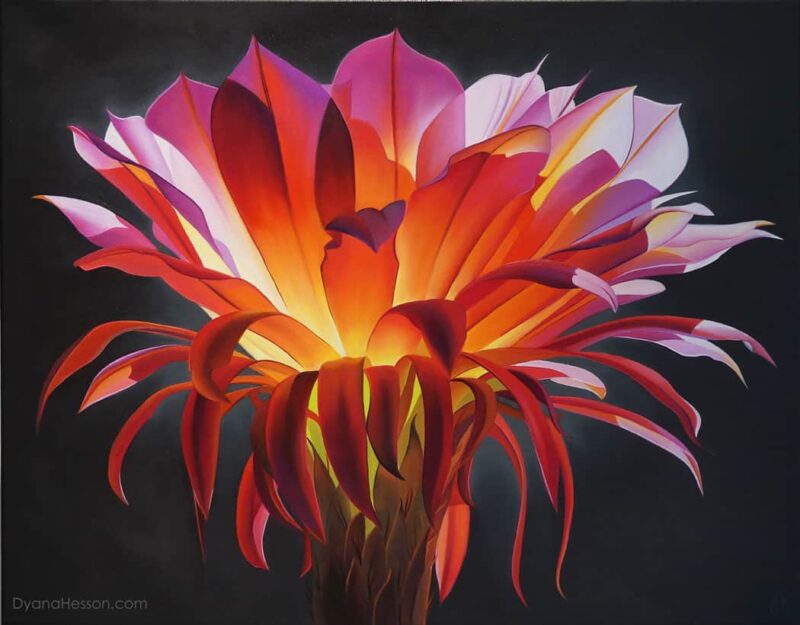 Amber Light, Echinopsis Bloom 22x28 oil on canvas