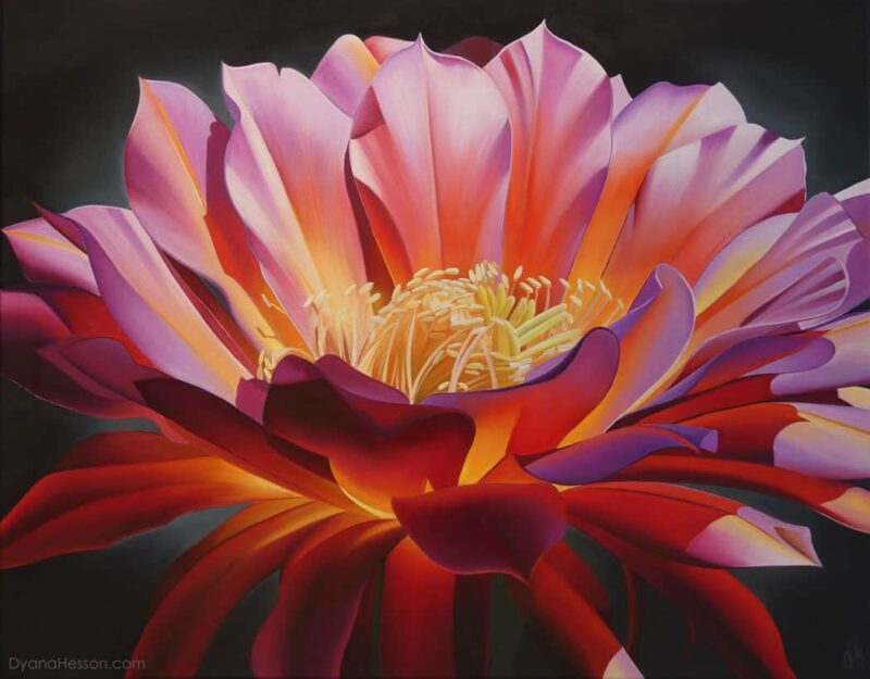 Echinopsis Bloom, oil on canvas painting
