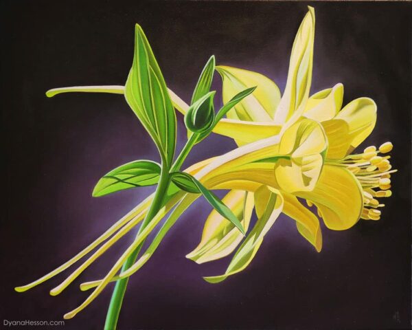 Golden Columbine, Dyana Hesson