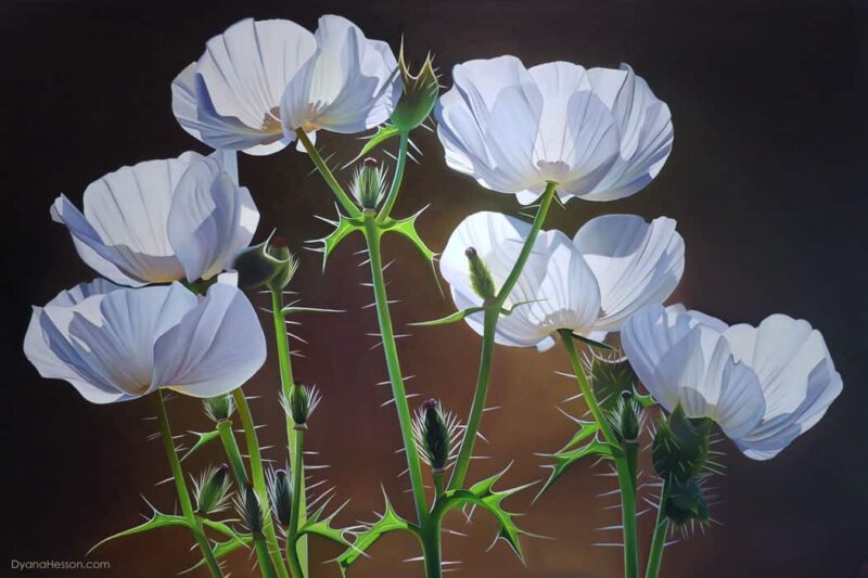Prickly Poppies by Dyanan Hesson