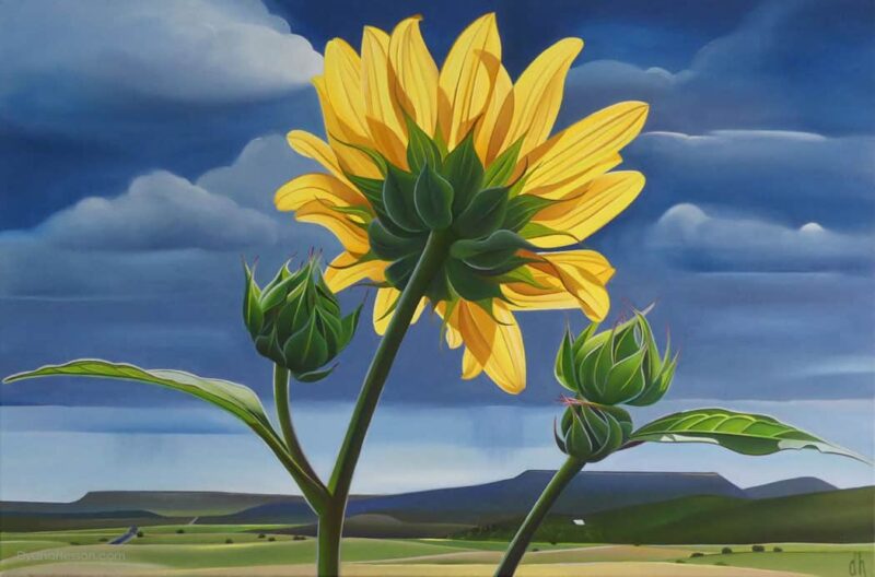 Dyana-Hesson-Out-Standing-in-Her-Field,-Sunflower,-X-Diamond-Ranch,-AZ