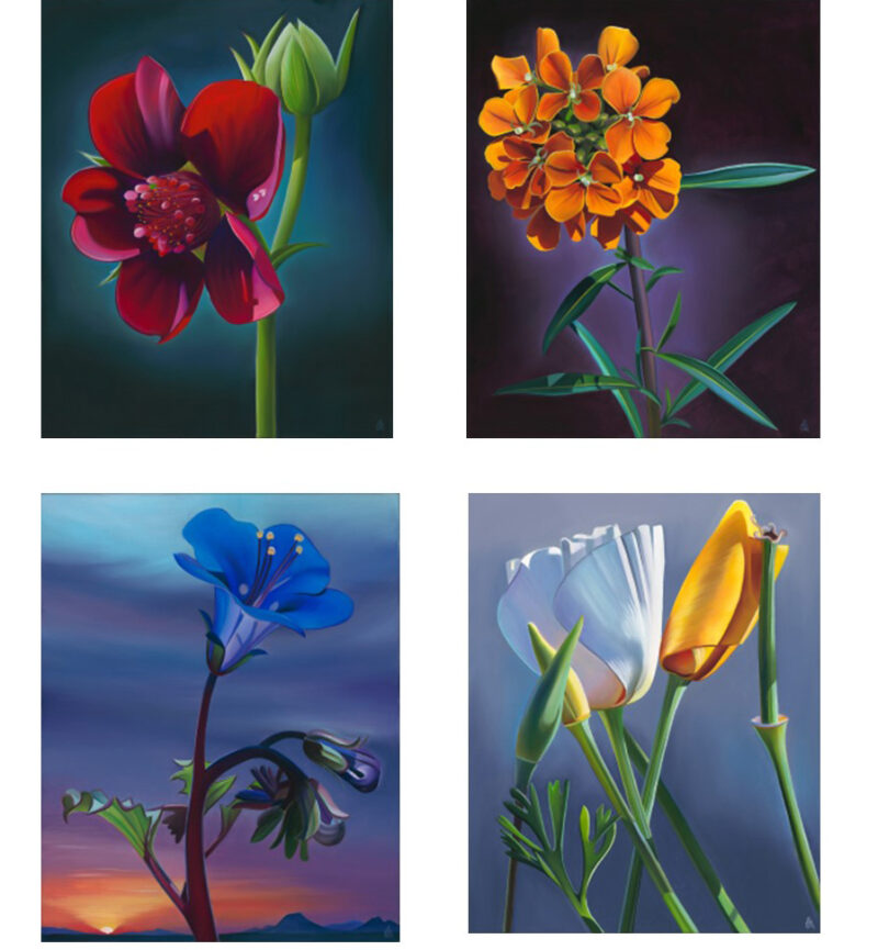 Dyana Hesson Note cards Arizona Wildflowers