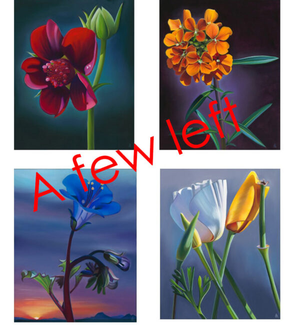Arizona Wildflowers Note Cards