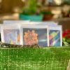 0 Dyana Hesson Arizona Wildflower notecards