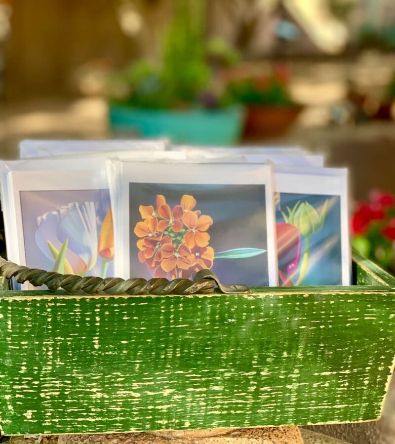0 Dyana Hesson Arizona Wildflower notecards