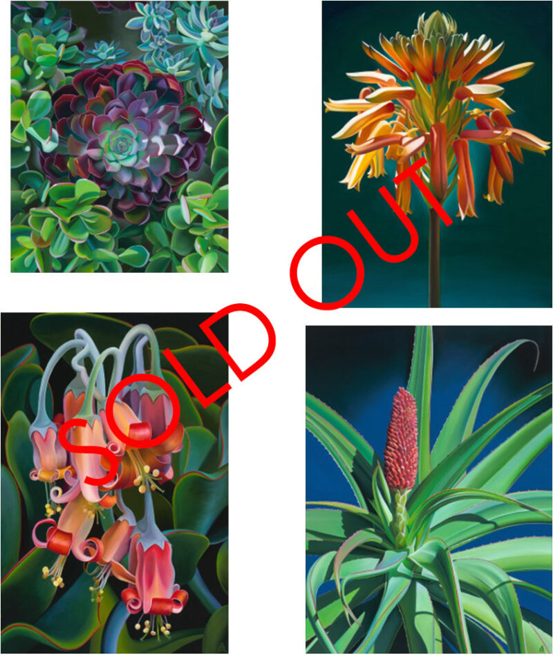 SOLD OUT - Succulents and Aloes Note Cards