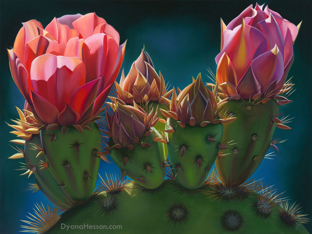 Afrerglow, Opuntia Blooms and Buds Dyana Hesson