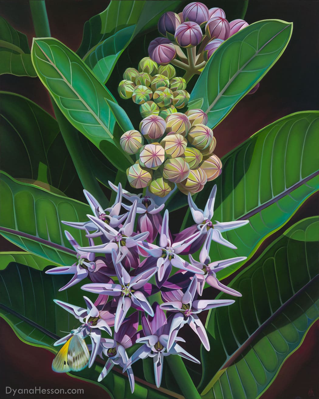 Fopur Generations to come