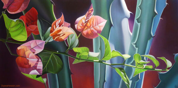 Dyana Hesson Agave and Bougainvillea