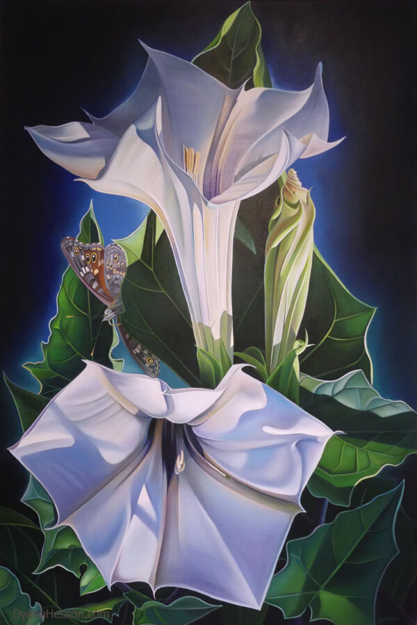 Dyana Hesson Arizona Cornucopia, Datura and Butterfly