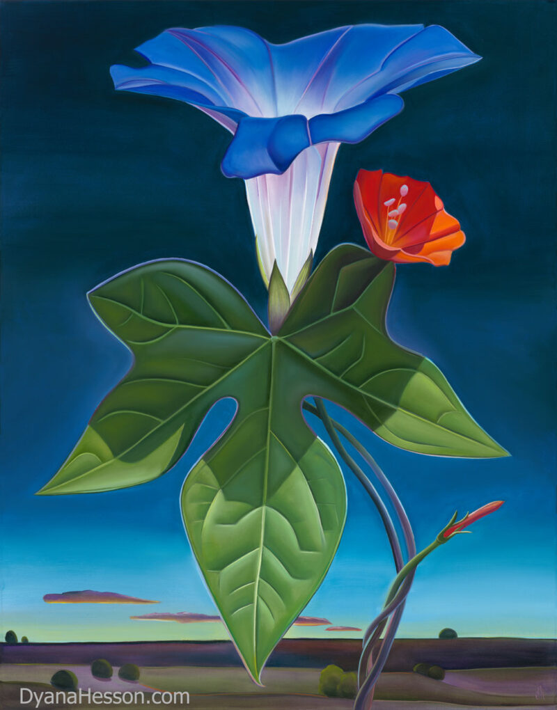 Morning Glory - Dawn at X Diamond Ranch, White Mountains, AZ      SOLD