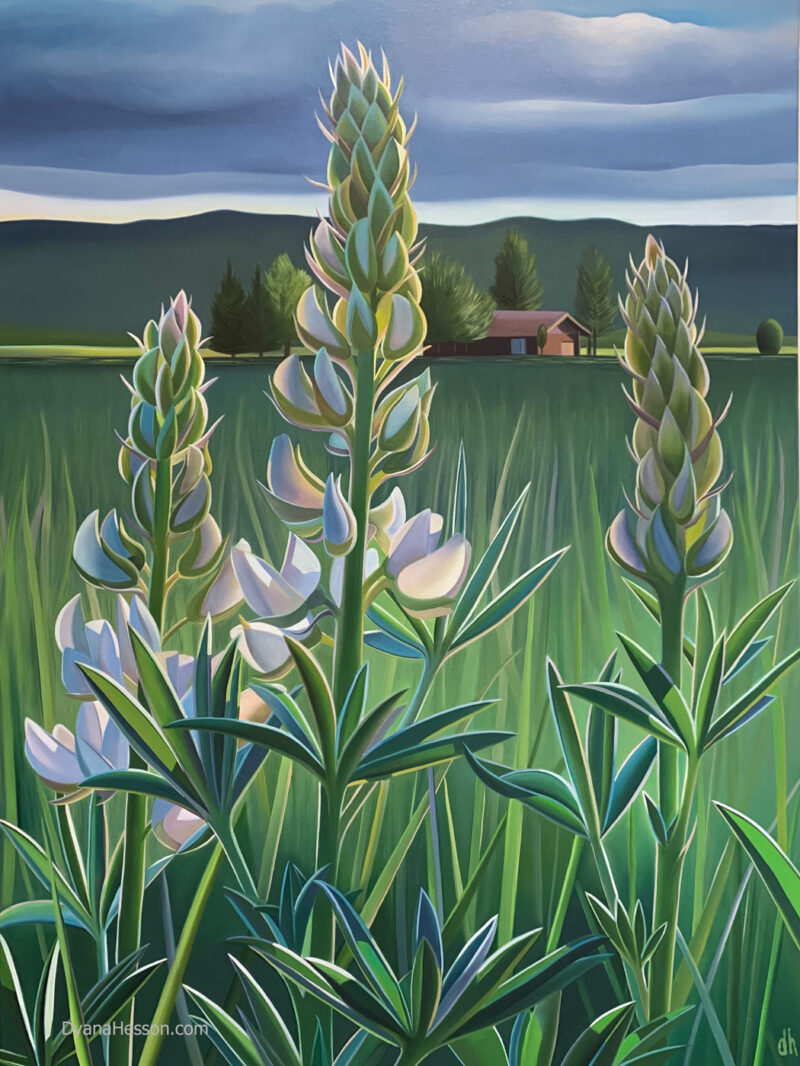 Stars of the Valley - Lupine, Wyoming SOLD