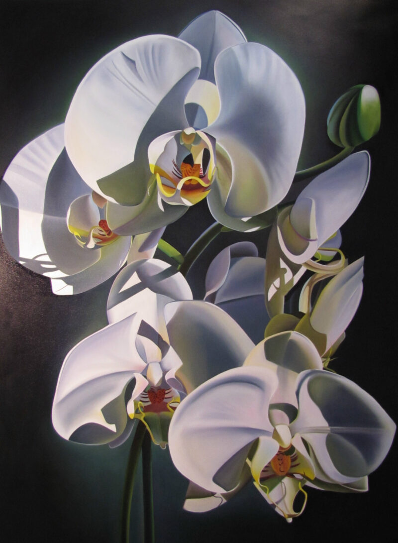 Dyana Hesson White Orchids