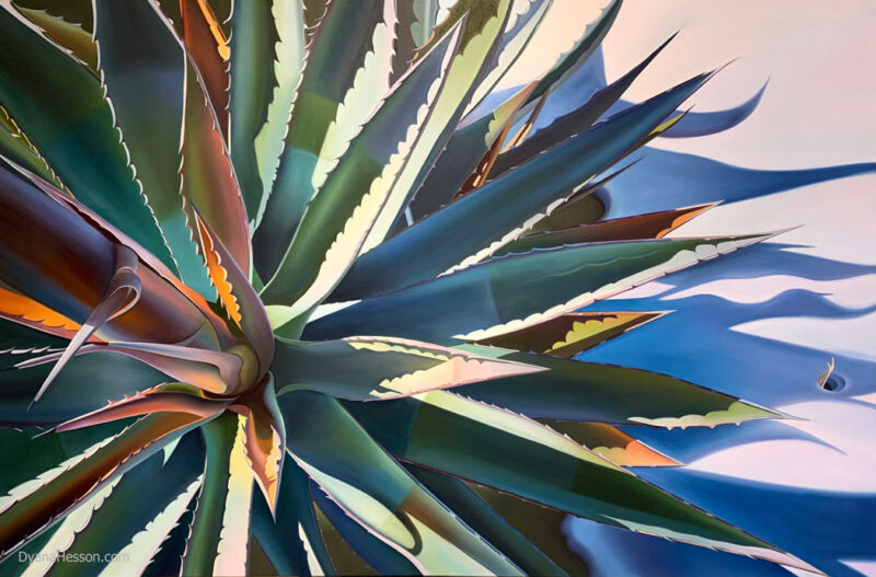 Arizona Meltdown, Agave and Snow, Sierra Ancha Dyana Hesson