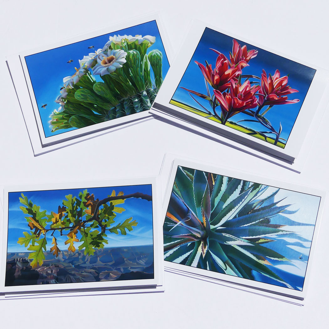 Dyana hesson Arizona Seasons note cards