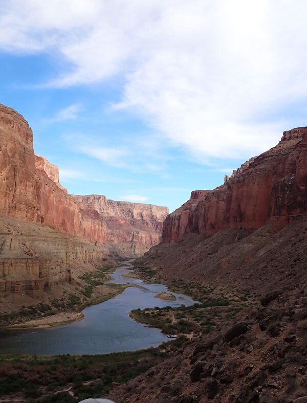 Grand Canyon Dyana Hesson 2022