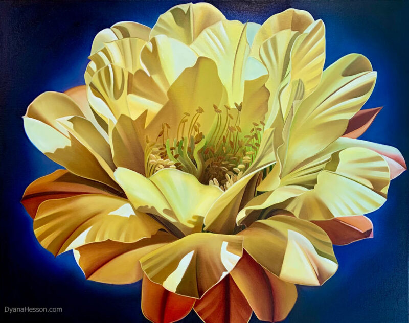 Dyana Hesson Yellow cactus Bloom