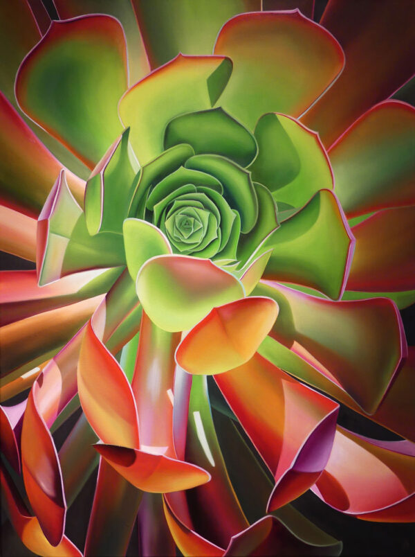 Dyana Hesson Succulent