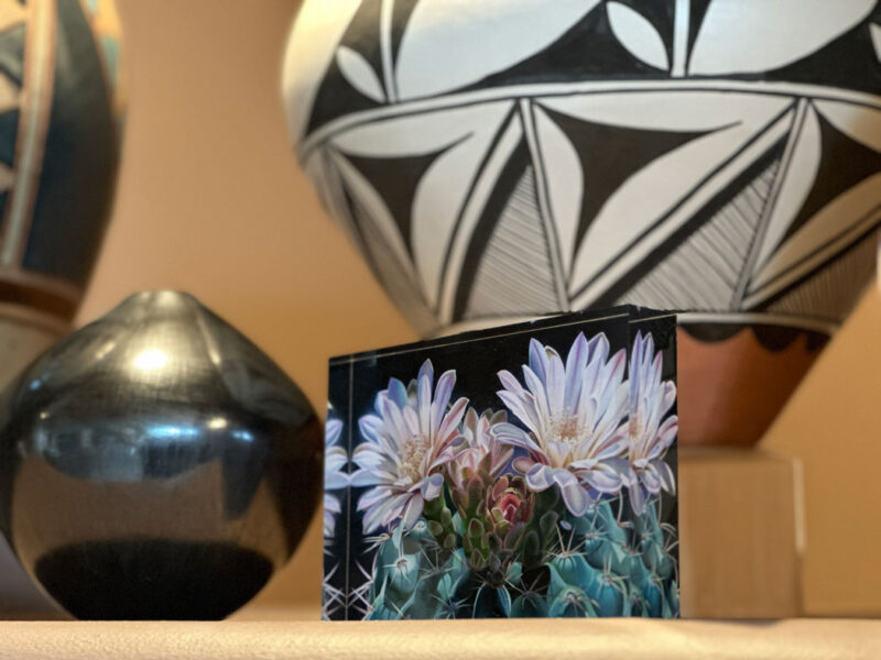 Dyana Hesson Art Blocks LIMITED SUPPLY, almost SOLD OUT - Image 3