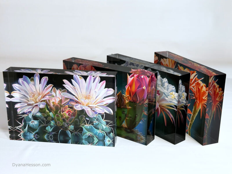 Dyana Hesson Art Blocks LIMITED SUPPLY, almost SOLD OUT - Image 6