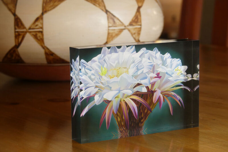 Dyana Hesson Art Blocks LIMITED SUPPLY, almost SOLD OUT - Image 2