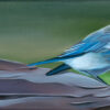 Party of Three - Field, Dandelion, Blue Bird. White Mountains, AZ - Image 2