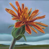 Party of Three - Field, Dandelion, Blue Bird. White Mountains, AZ - Image 4