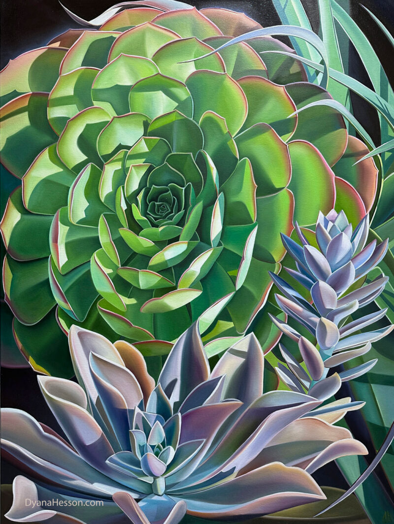 Sundial Succulents Dyana hesson