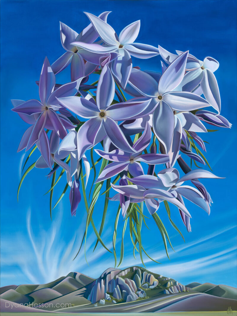 Arizona Blue Star -Flux Canyon, AZ RECENTLY SOLD