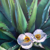 The Gathering Sego Lilies and Agave Dyana Hesson