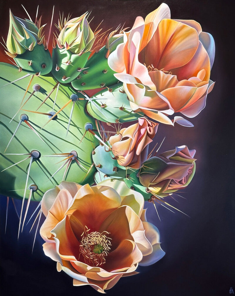 The Golden Hour - Opuntia Engelmannii, Superstition Mountains, AZ  RECENTLY SOLD - Image 2