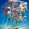 Arizona Blue Star -Flux Canyon, AZ RECENTLY SOLD - Image 2