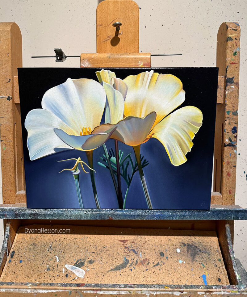 Rare Find - Pale Poppies, Wickenburg SOLD