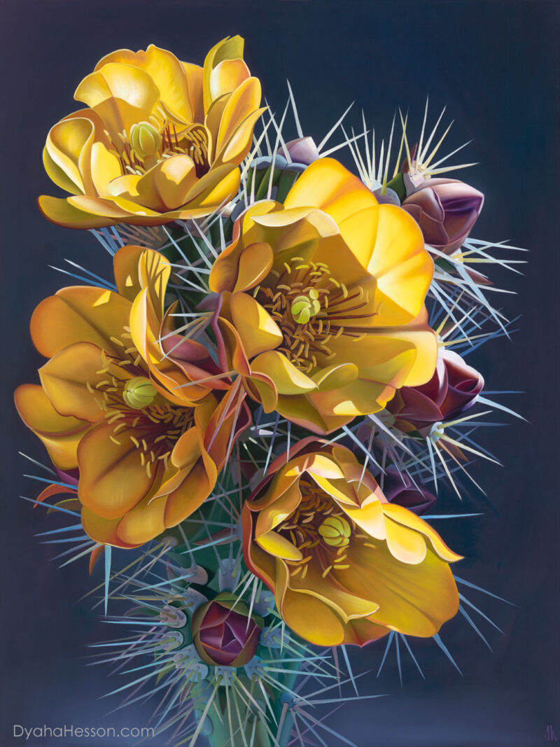 Stay Golden - Buckhorn Cholla, Superstition Mountains RECENTLY SOLD