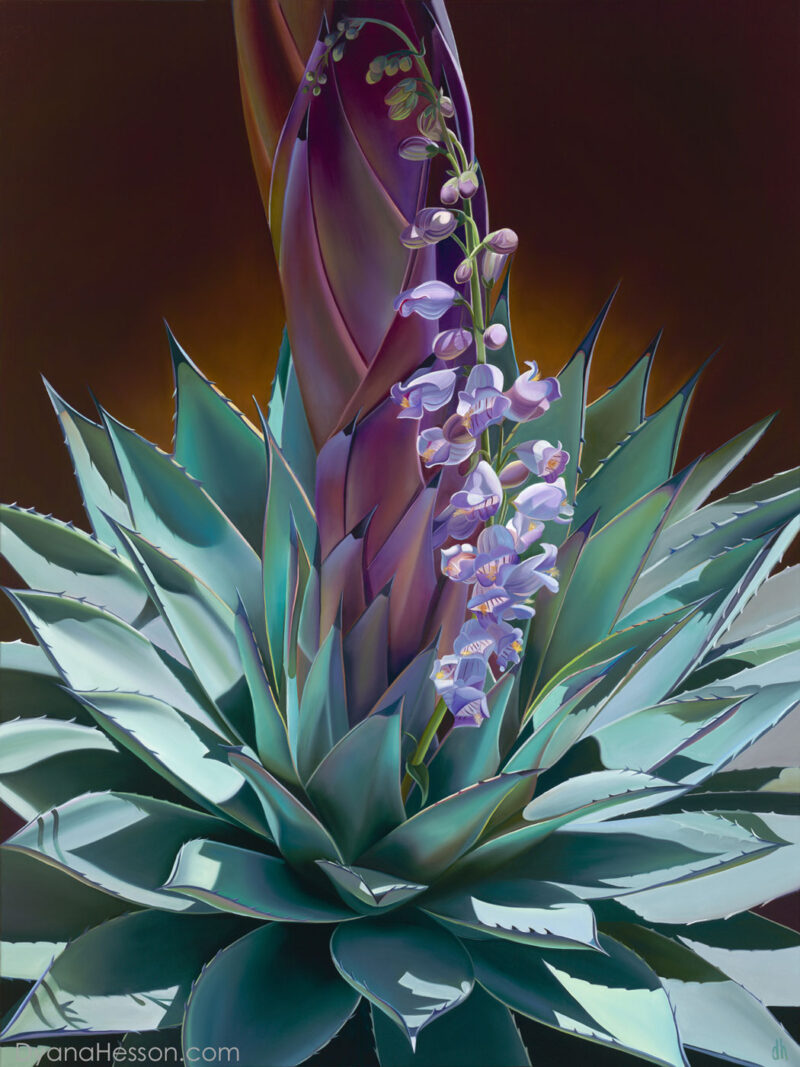Standing Tall -  Palmer’s Penstemon and Agave, Mogollon Rim, AZ RECENTLY SOLD