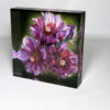 NEW RELEASE!- Arizona Elevations Art Blocks Collection- 2025 - Image 2